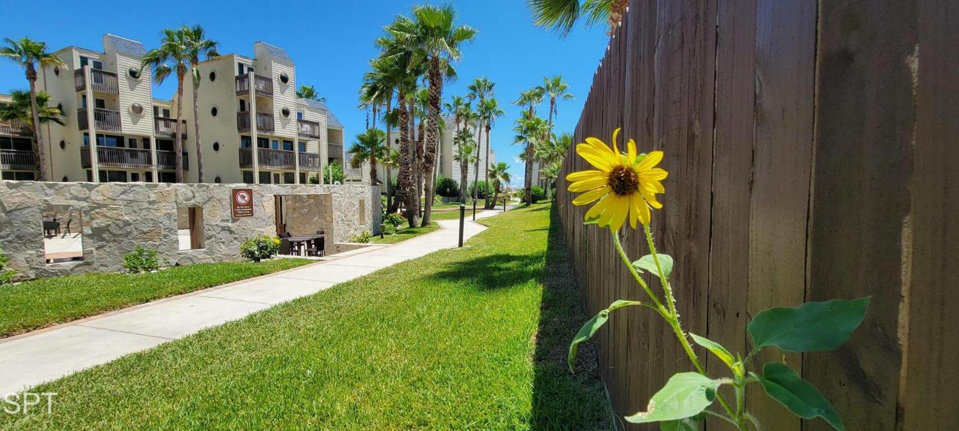 Bahia Mar #426 Villa South Padre Island Dış mekan fotoğraf